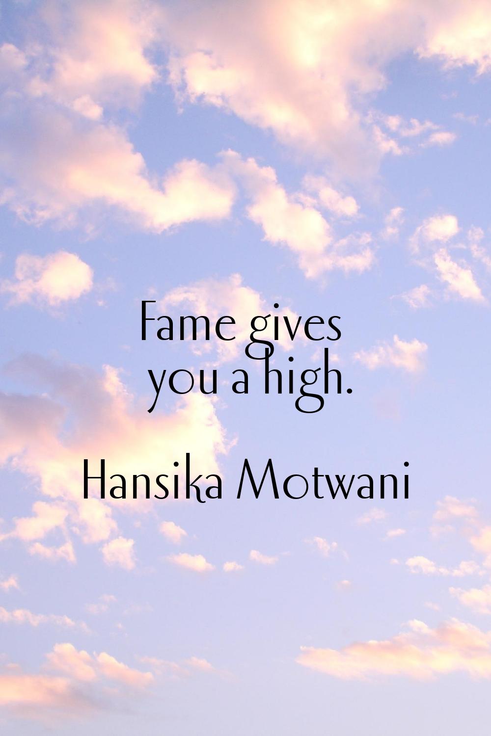 Fame gives you a high.