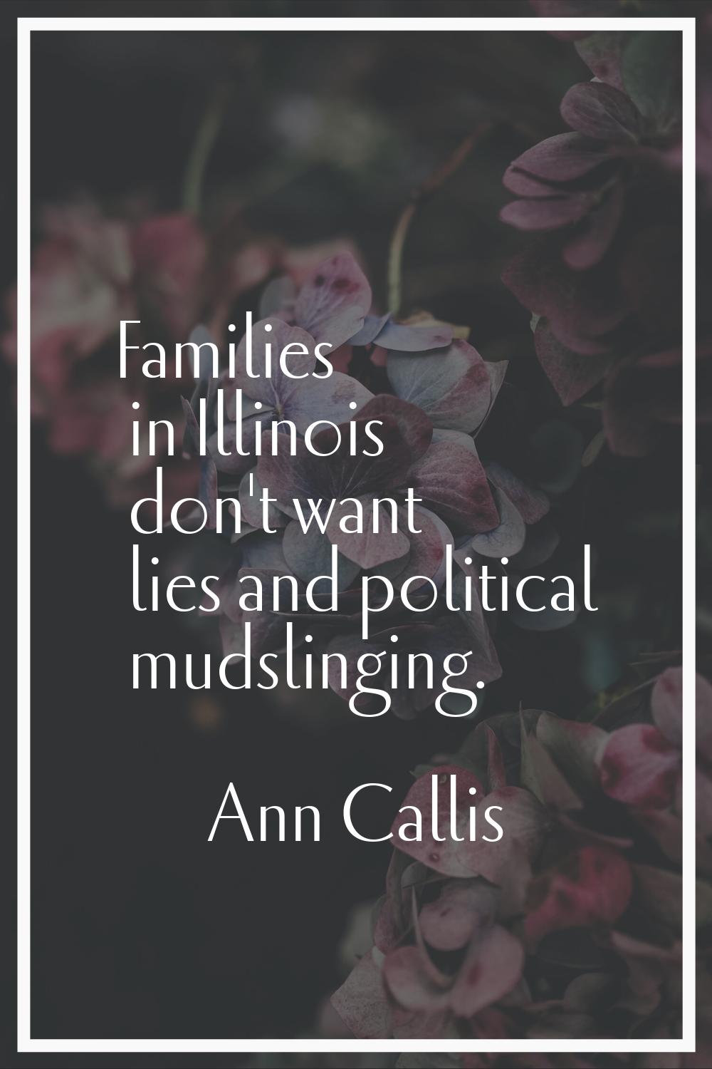 Families in Illinois don't want lies and political mudslinging.