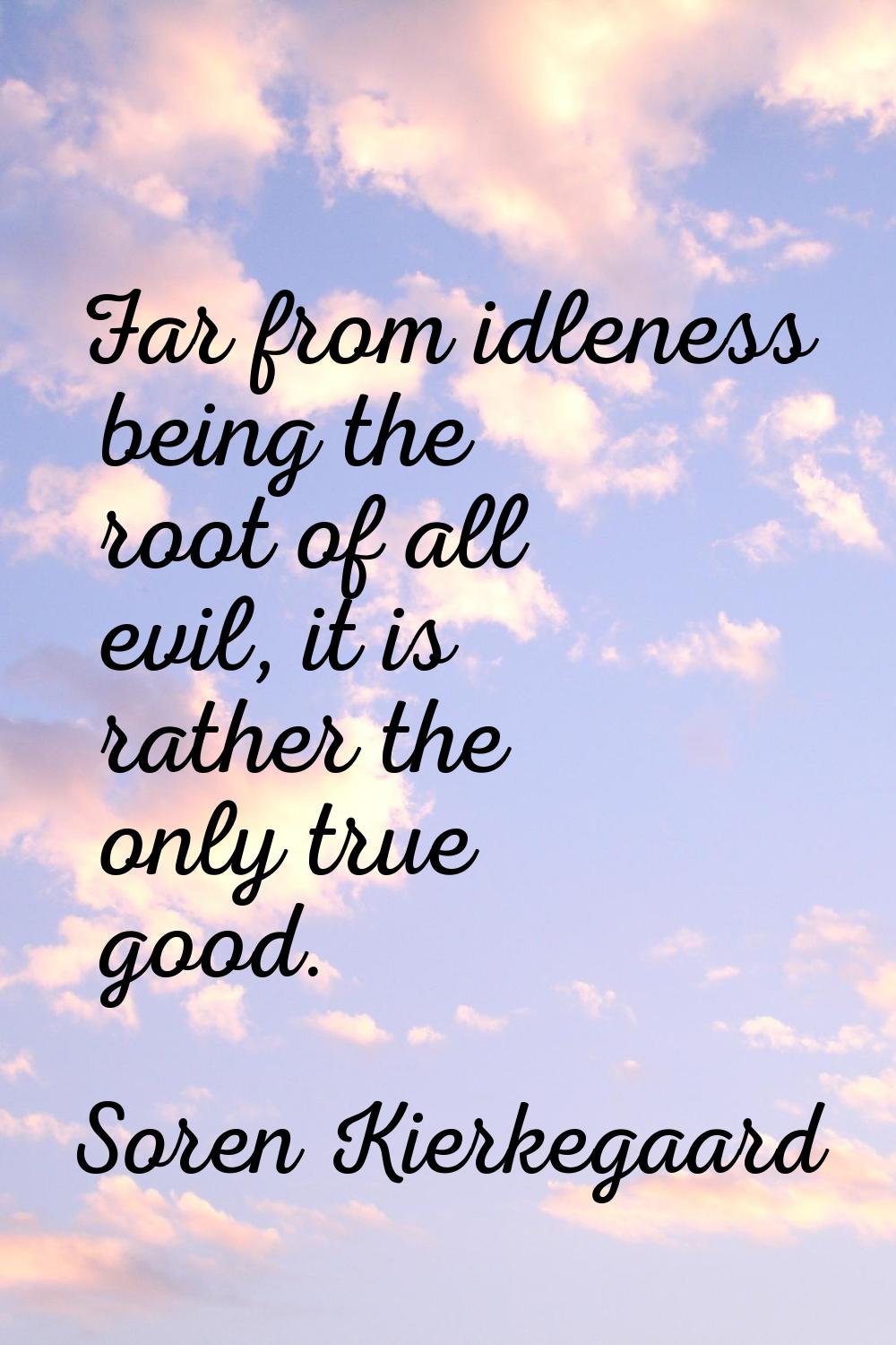 Far from idleness being the root of all evil, it is rather the only true good.