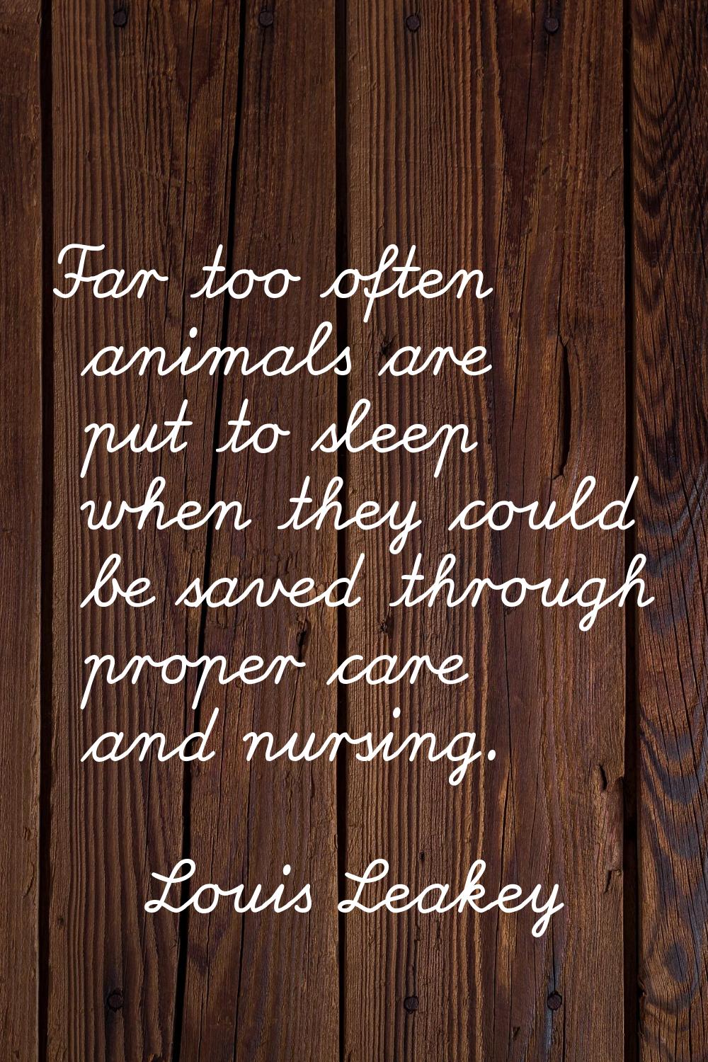 Far too often animals are put to sleep when they could be saved through proper care and nursing.