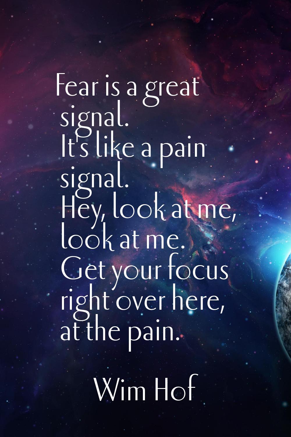 Fear is a great signal. It's like a pain signal. Hey, look at me, look at me. Get your focus right 