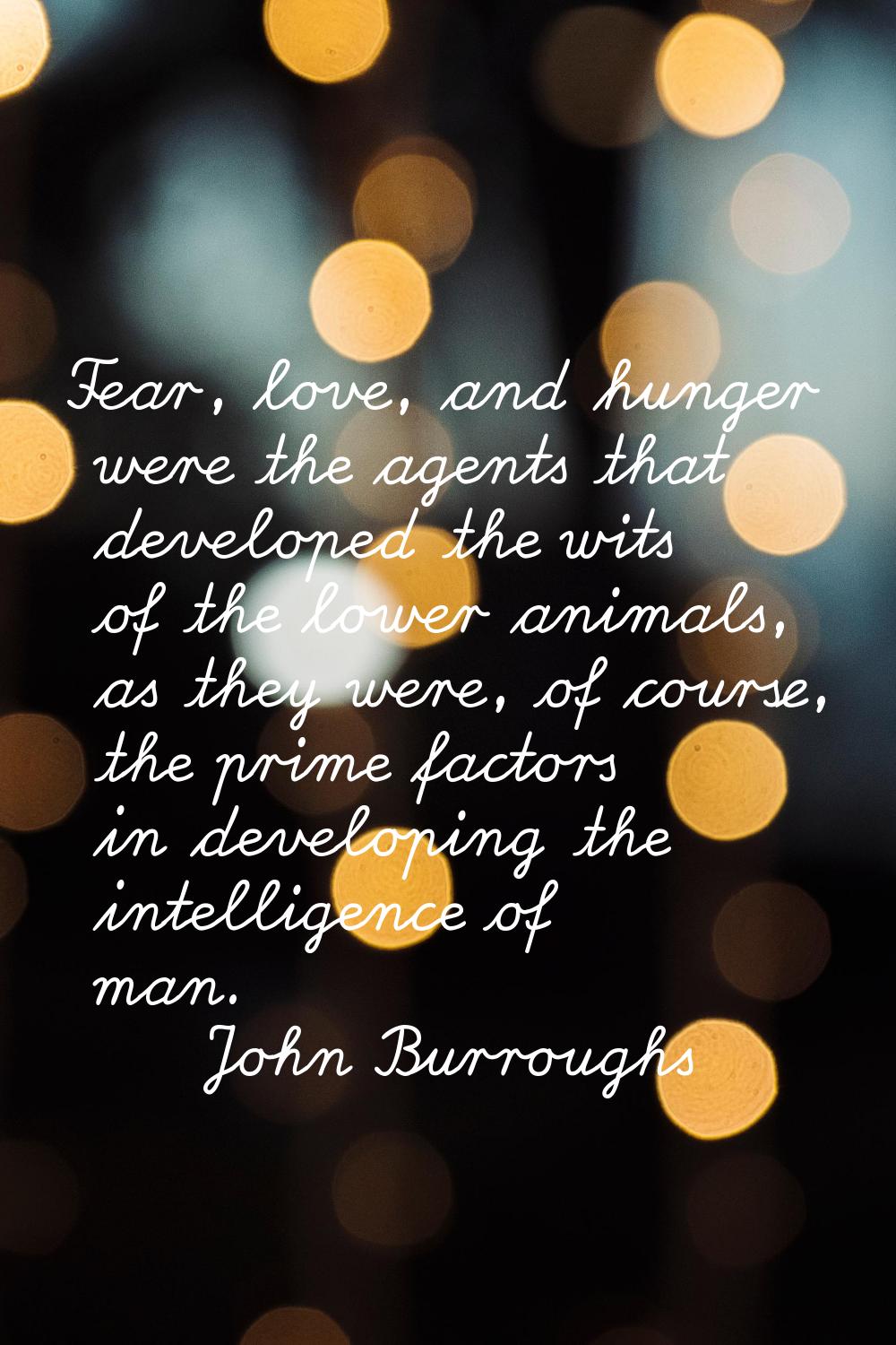 Fear, love, and hunger were the agents that developed the wits of the lower animals, as they were, 