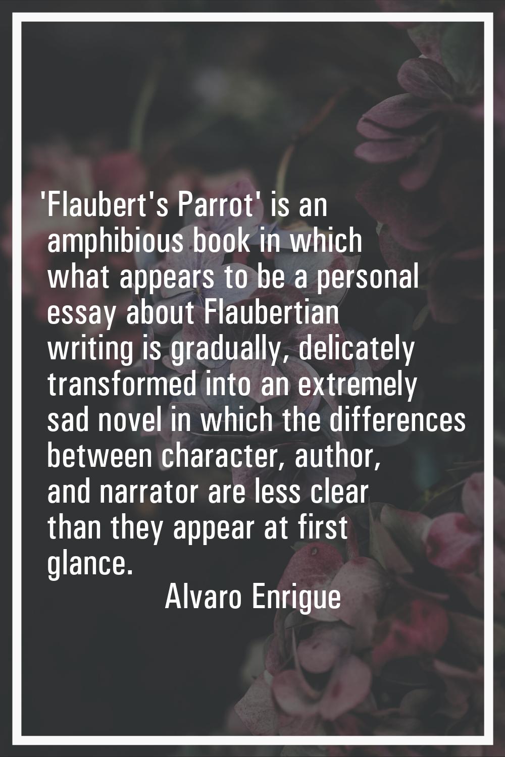 'Flaubert's Parrot' is an amphibious book in which what appears to be a personal essay about Flaube