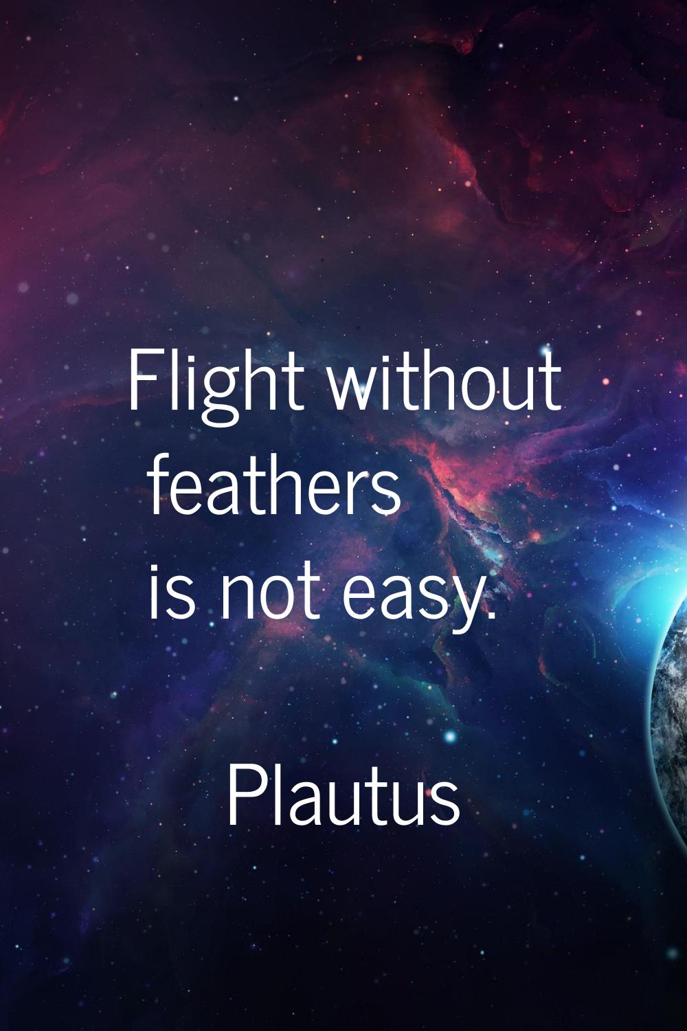 Flight without feathers is not easy.