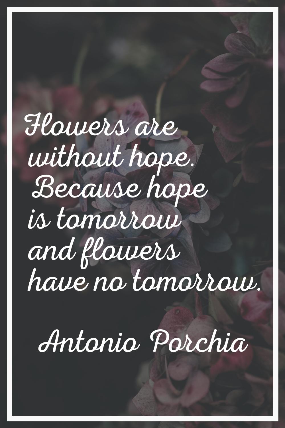 Flowers are without hope. Because hope is tomorrow and flowers have no tomorrow.