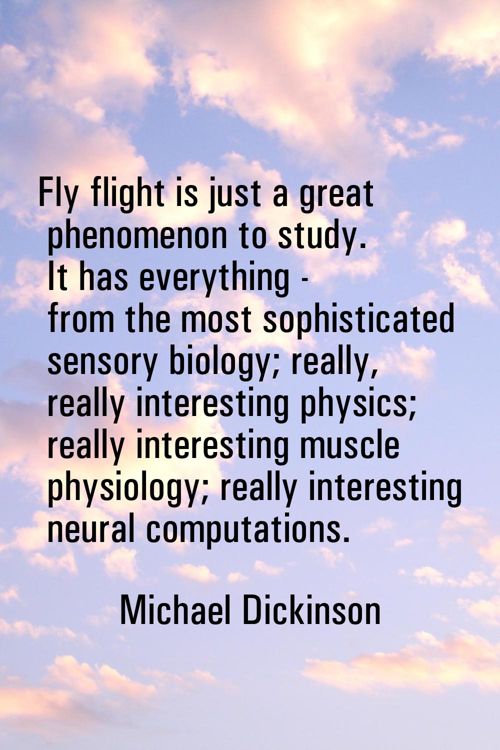 Fly flight is just a great phenomenon to study. It has everything - from the most sophisticated sen