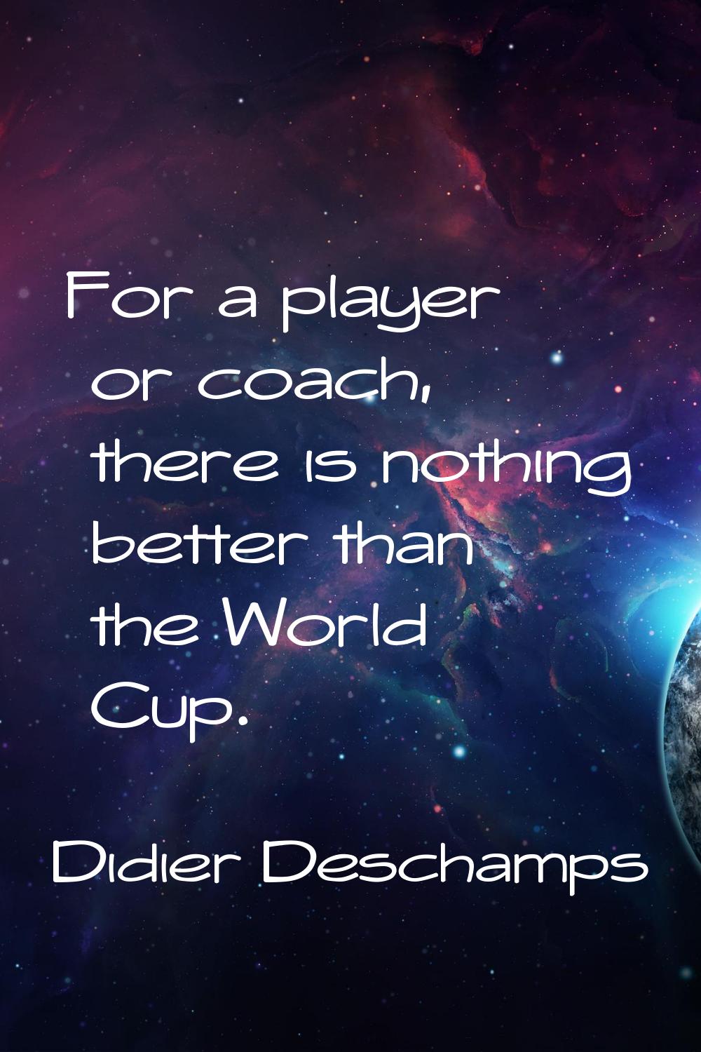 For a player or coach, there is nothing better than the World Cup.