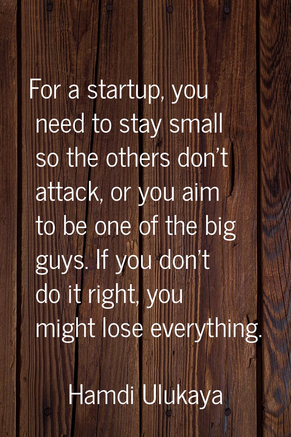 For a startup, you need to stay small so the others don't attack, or you aim to be one of the big g