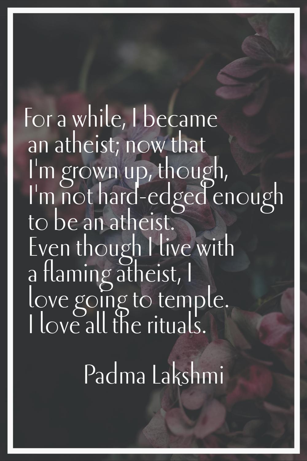 For a while, I became an atheist; now that I'm grown up, though, I'm not hard-edged enough to be an