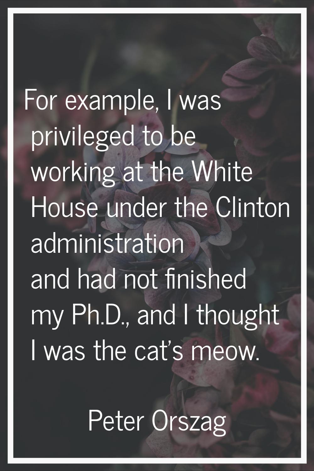 For example, I was privileged to be working at the White House under the Clinton administration and