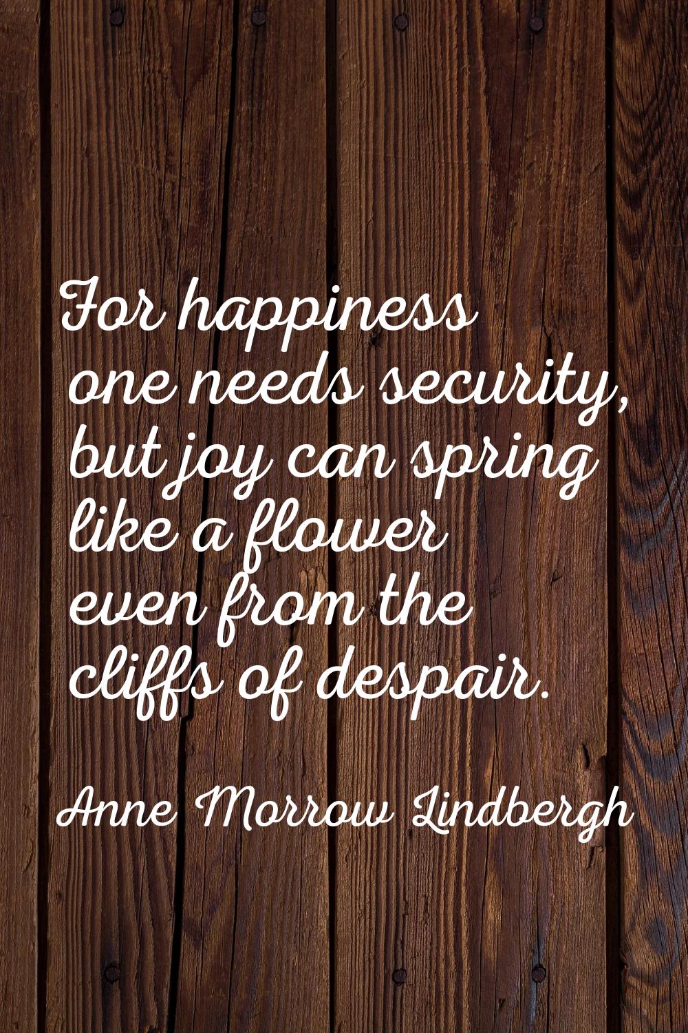 For happiness one needs security, but joy can spring like a flower even from the cliffs of despair.