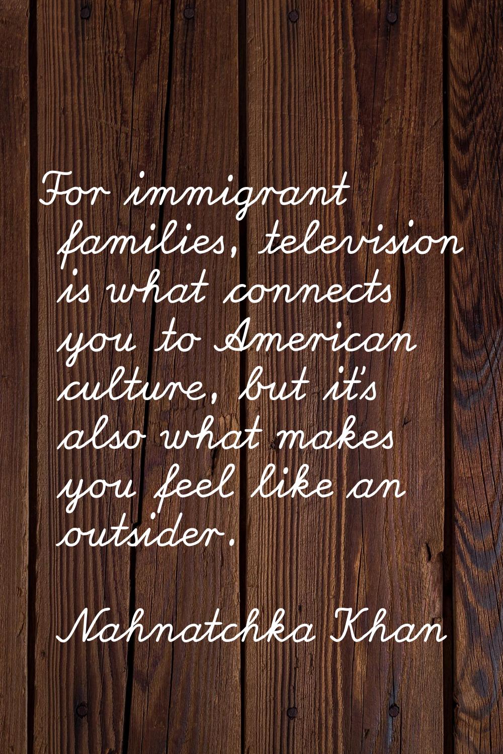 For immigrant families, television is what connects you to American culture, but it's also what mak