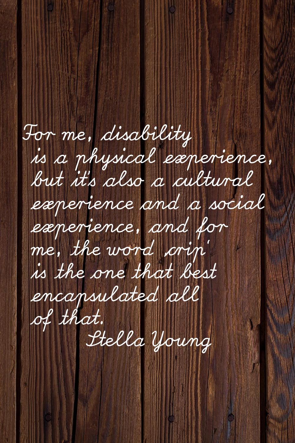 For me, disability is a physical experience, but it's also a cultural experience and a social exper