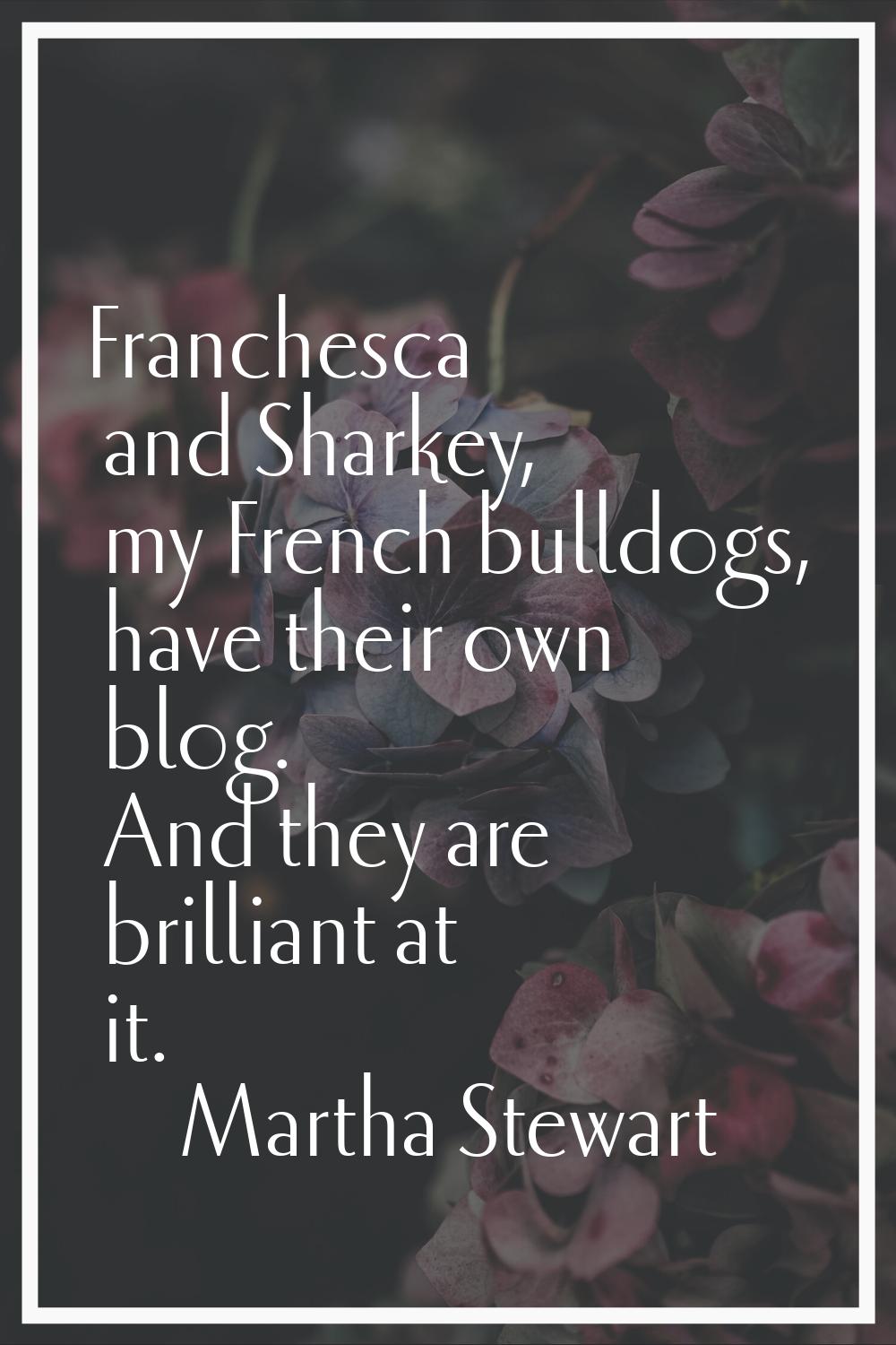 Franchesca and Sharkey, my French bulldogs, have their own blog. And they are brilliant at it.