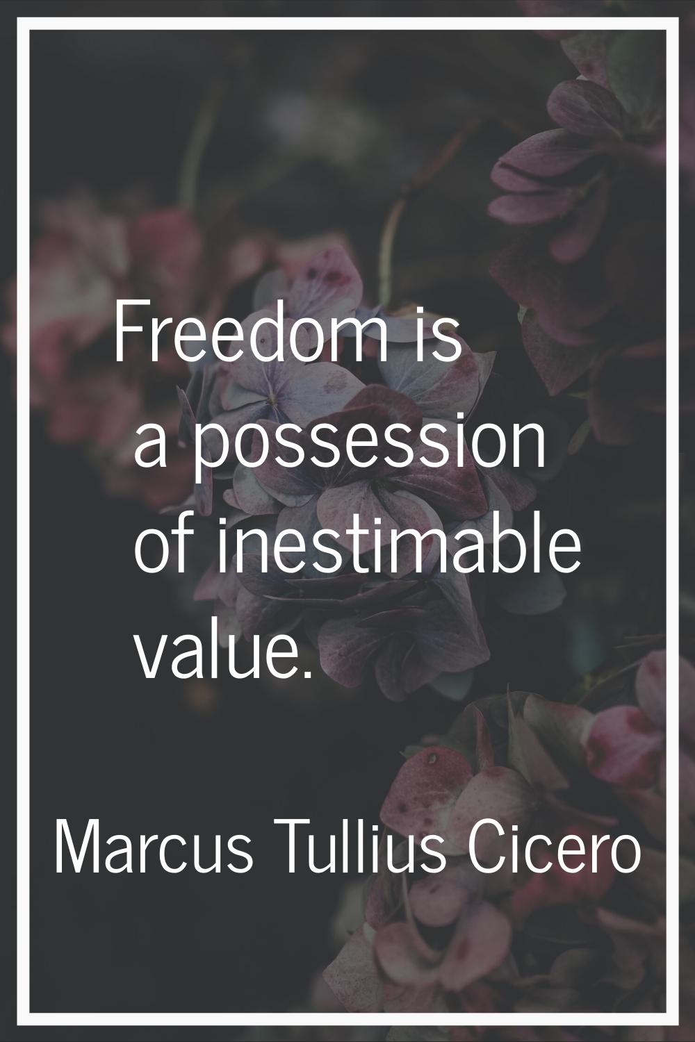 Freedom is a possession of inestimable value.