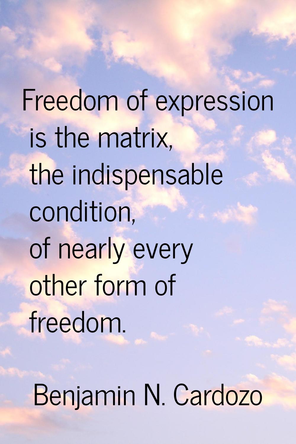 Freedom of expression is the matrix, the indispensable condition, of nearly every other form of fre
