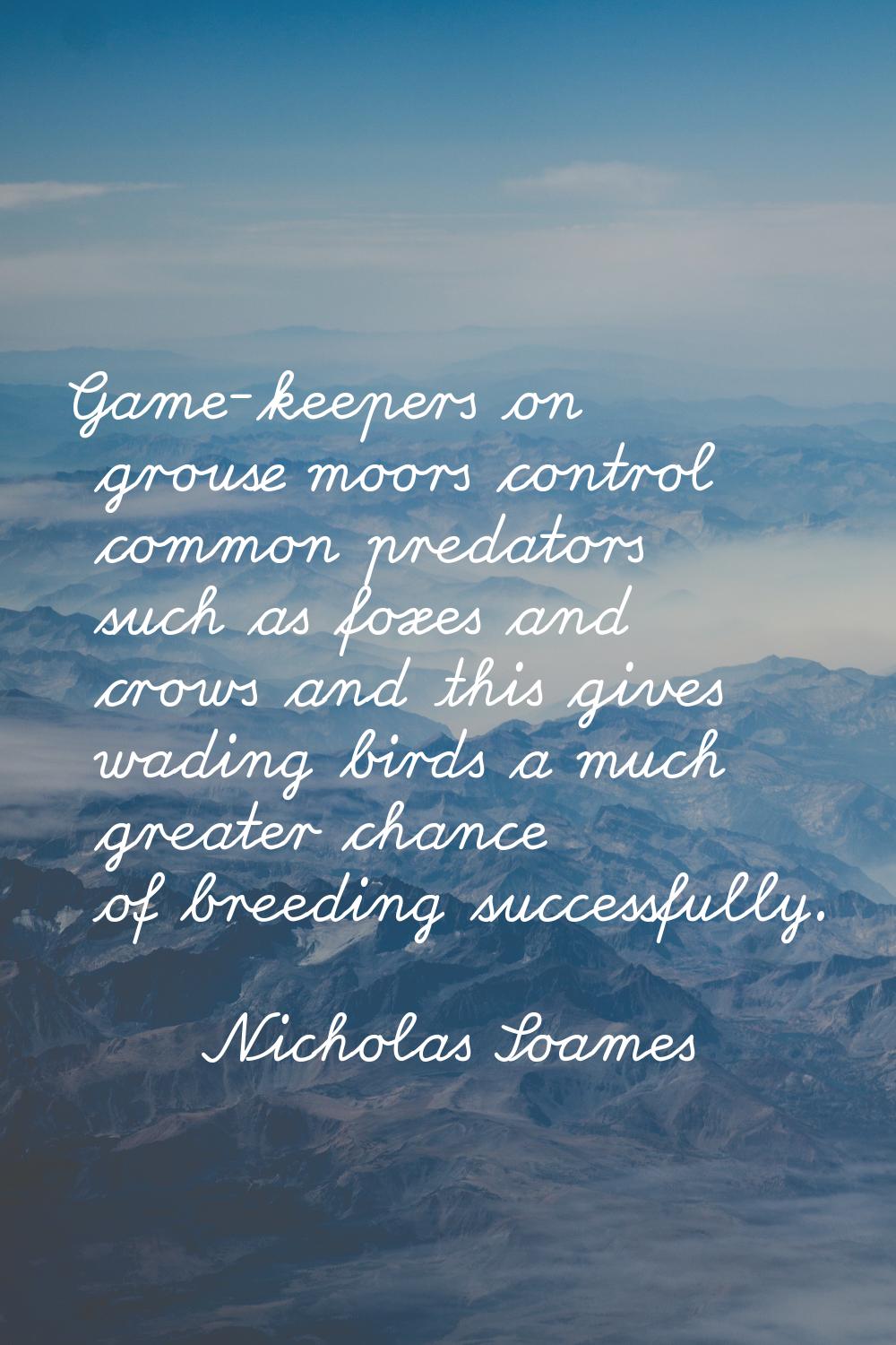 Game-keepers on grouse moors control common predators such as foxes and crows and this gives wading