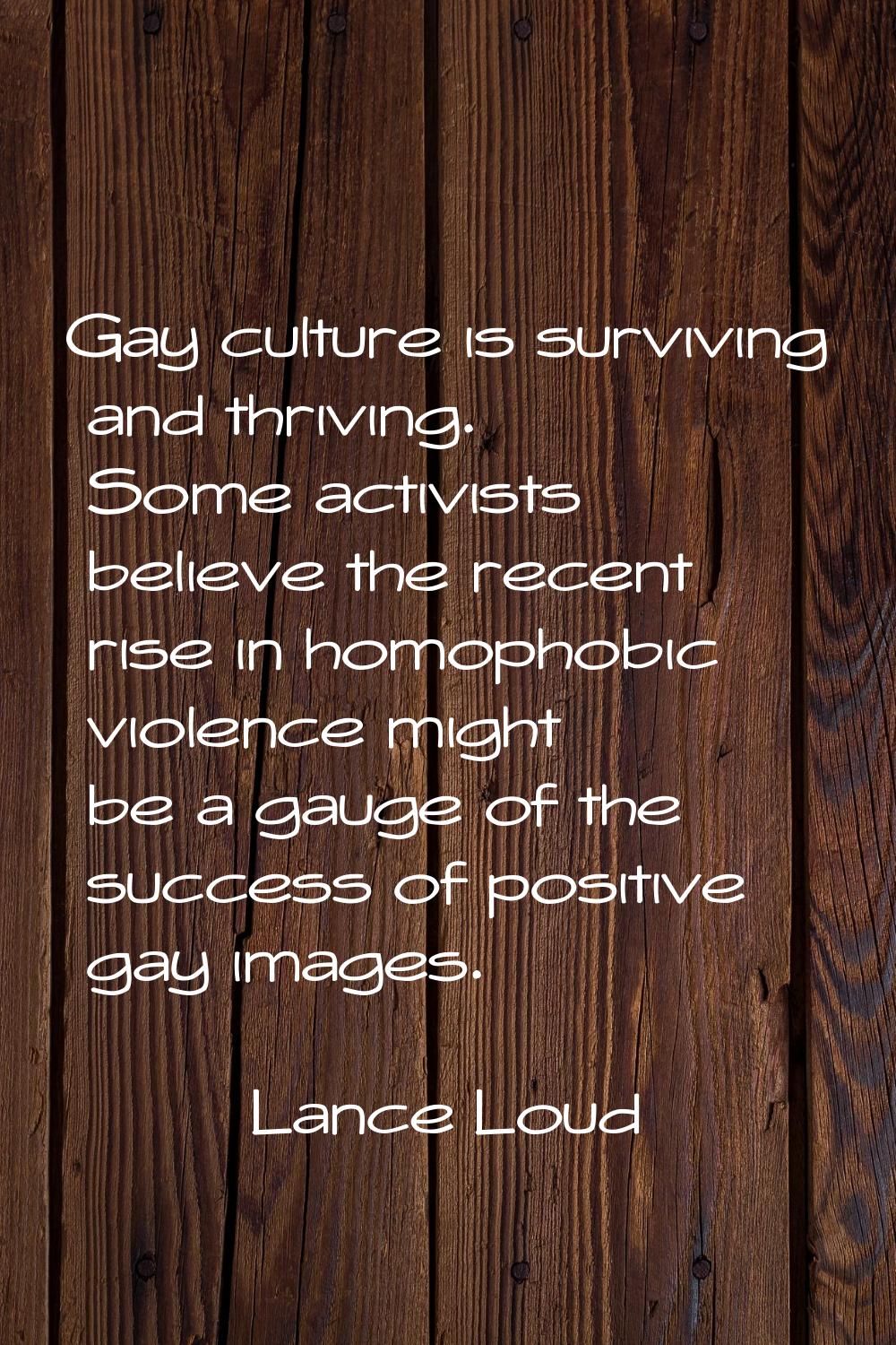 Gay culture is surviving and thriving. Some activists believe the recent rise in homophobic violenc