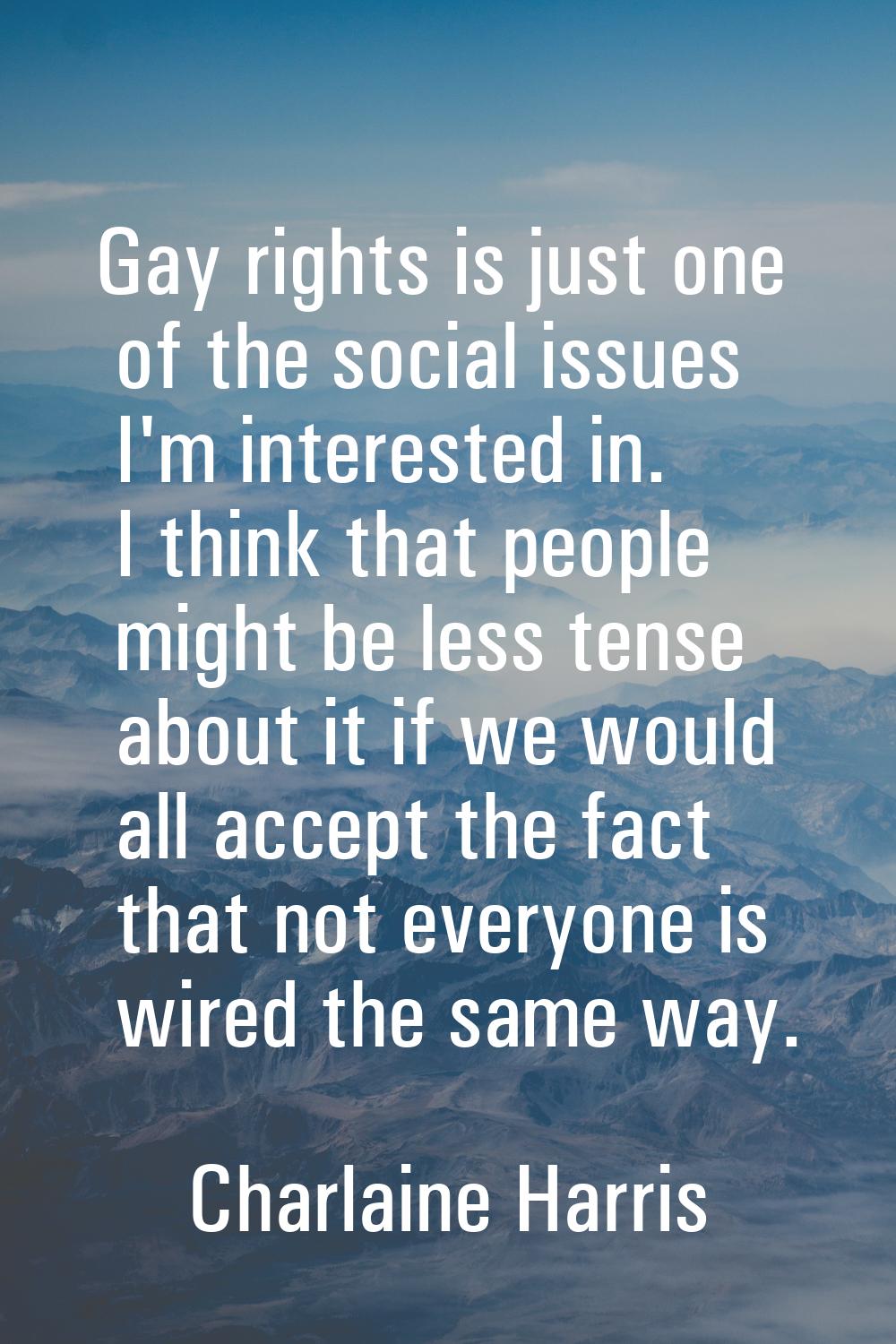 Gay rights is just one of the social issues I'm interested in. I think that people might be less te