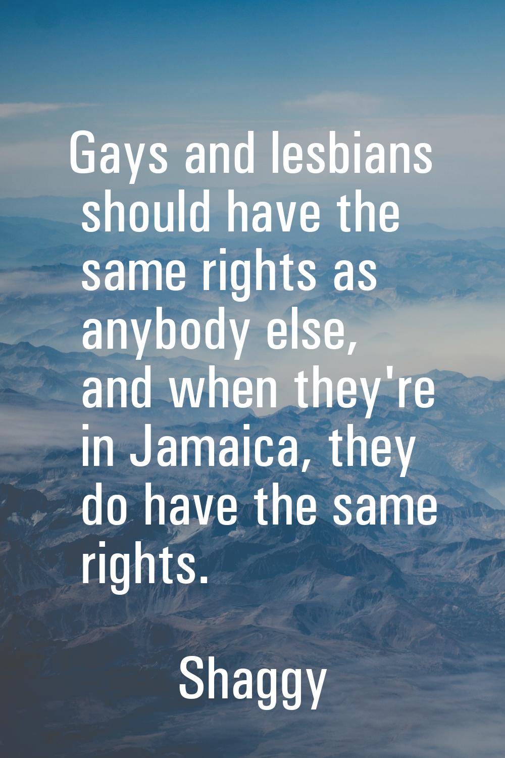 Gays and lesbians should have the same rights as anybody else, and when they're in Jamaica, they do