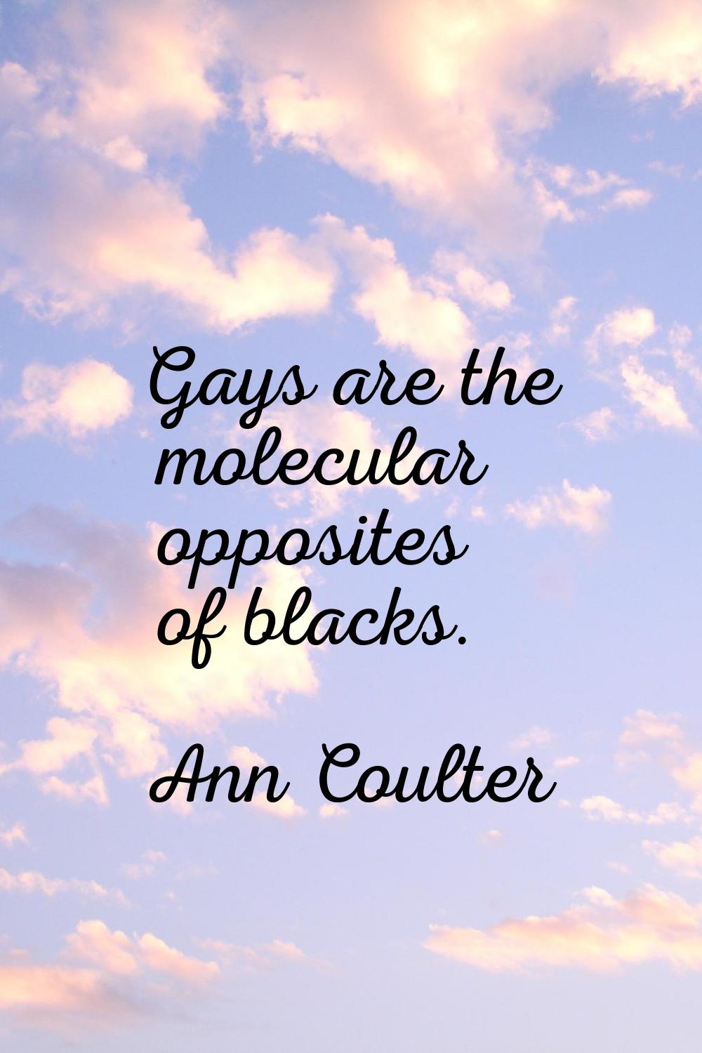 Gays are the molecular opposites of blacks.