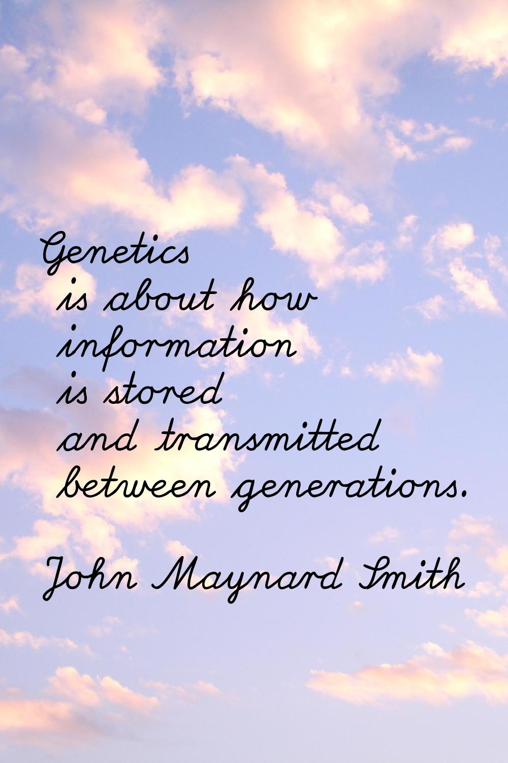 Genetics is about how information is stored and transmitted between generations.