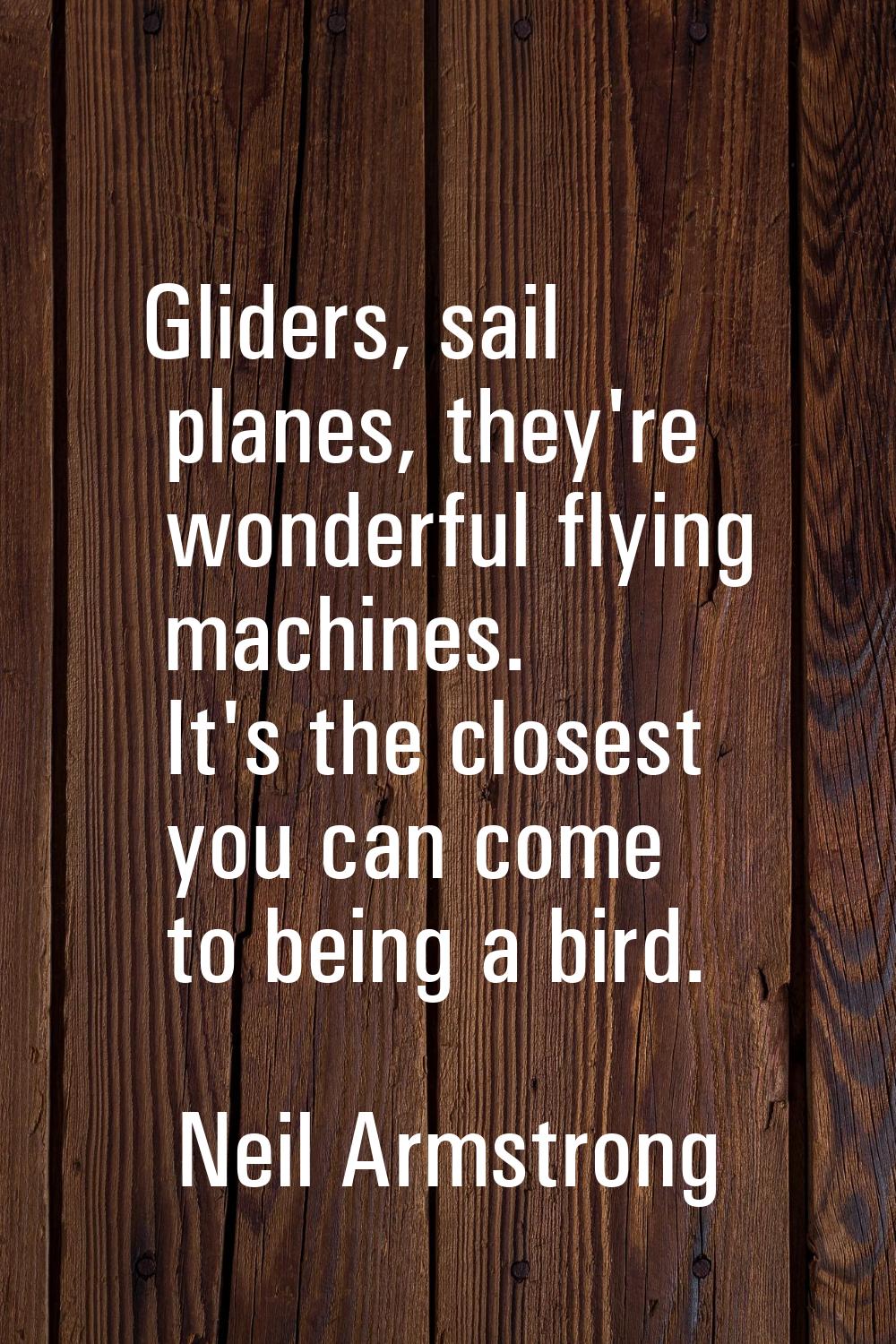 Gliders, sail planes, they're wonderful flying machines. It's the closest you can come to being a b