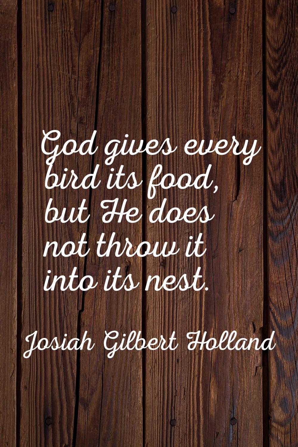God gives every bird its food, but He does not throw it into its nest.