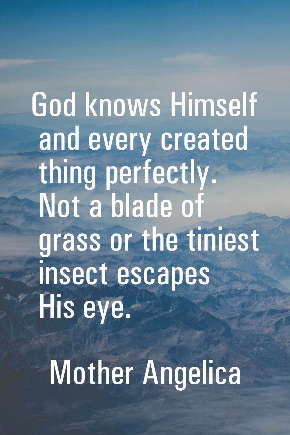 God knows Himself and every created thing perfectly. Not a blade of grass or the tiniest insect esc