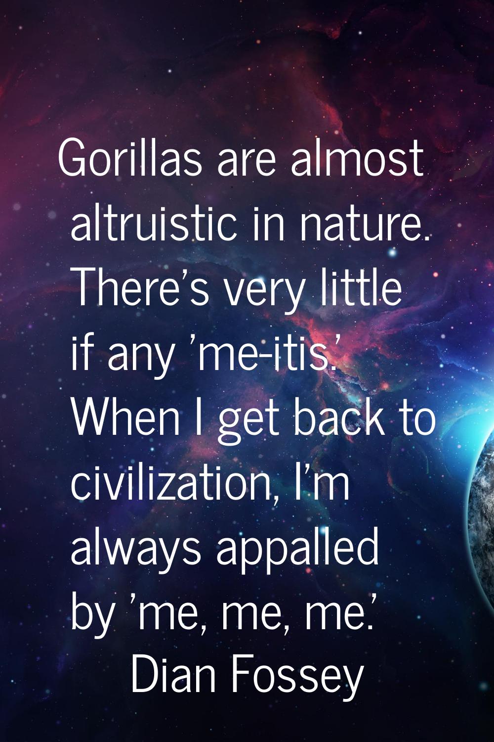 Gorillas are almost altruistic in nature. There's very little if any 'me-itis.' When I get back to 