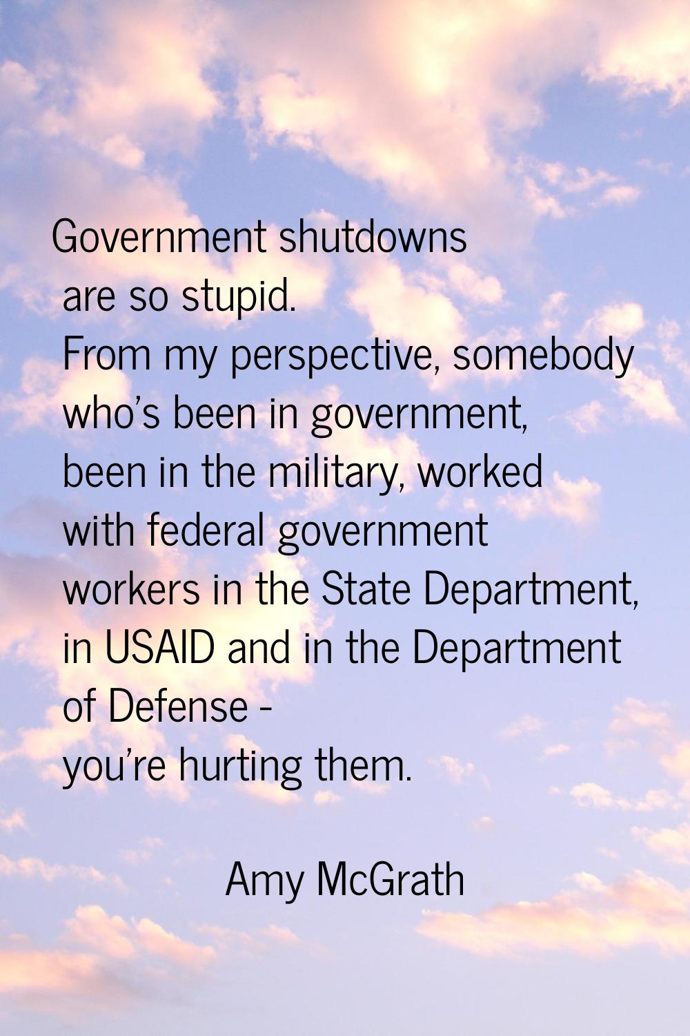 Government shutdowns are so stupid. From my perspective, somebody who's been in government, been in