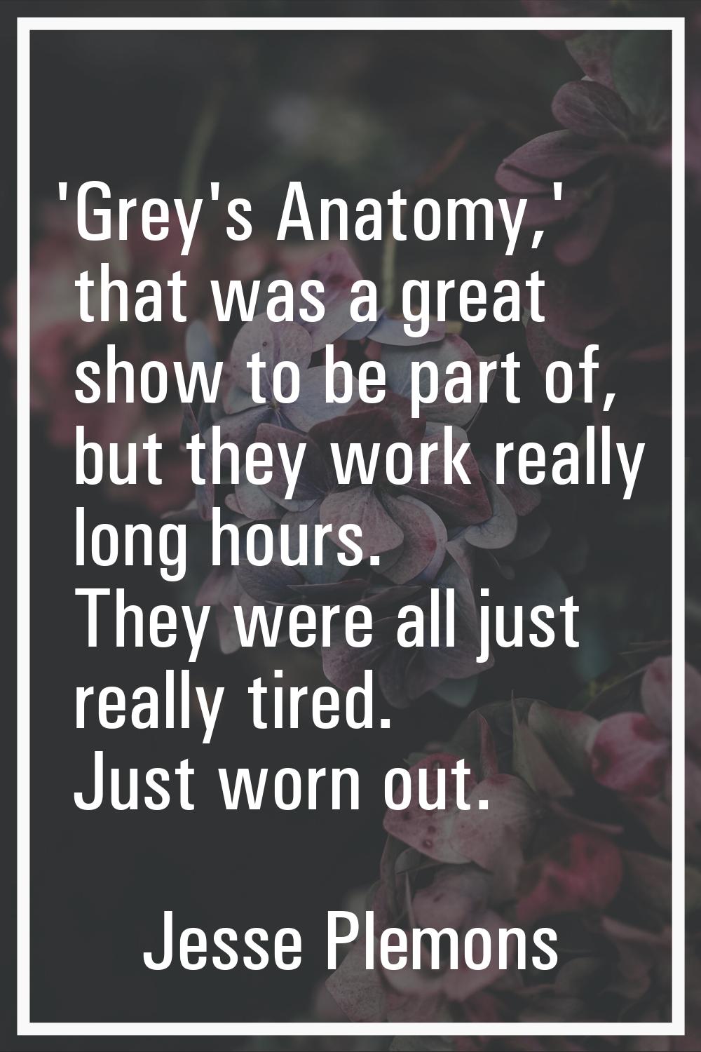'Grey's Anatomy,' that was a great show to be part of, but they work really long hours. They were a