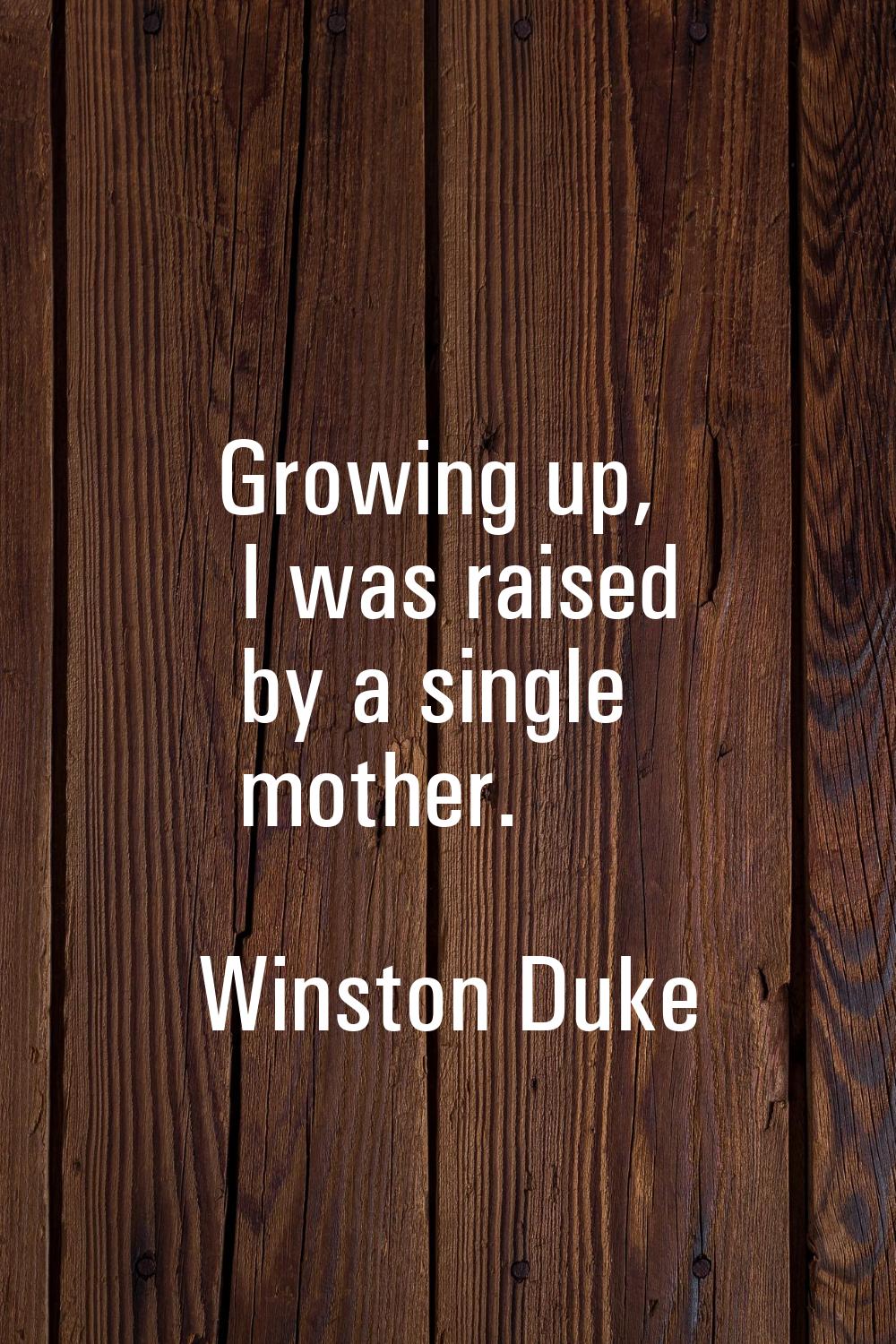 Growing up, I was raised by a single mother.