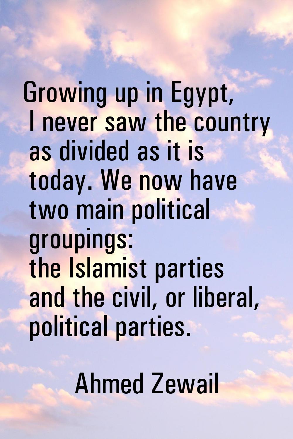 Growing up in Egypt, I never saw the country as divided as it is today. We now have two main politi