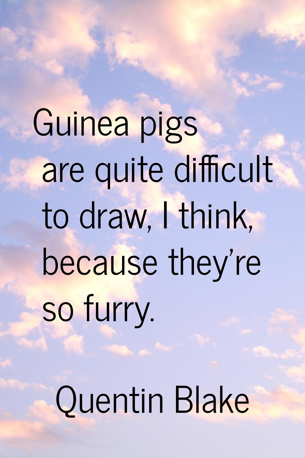 Guinea pigs are quite difficult to draw, I think, because they're so furry.
