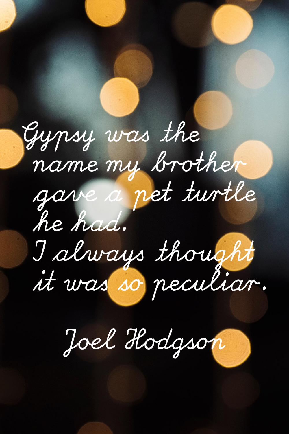 Gypsy was the name my brother gave a pet turtle he had. I always thought it was so peculiar.