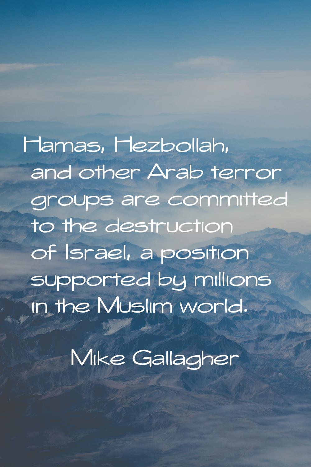 Hamas, Hezbollah, and other Arab terror groups are committed to the destruction of Israel, a positi
