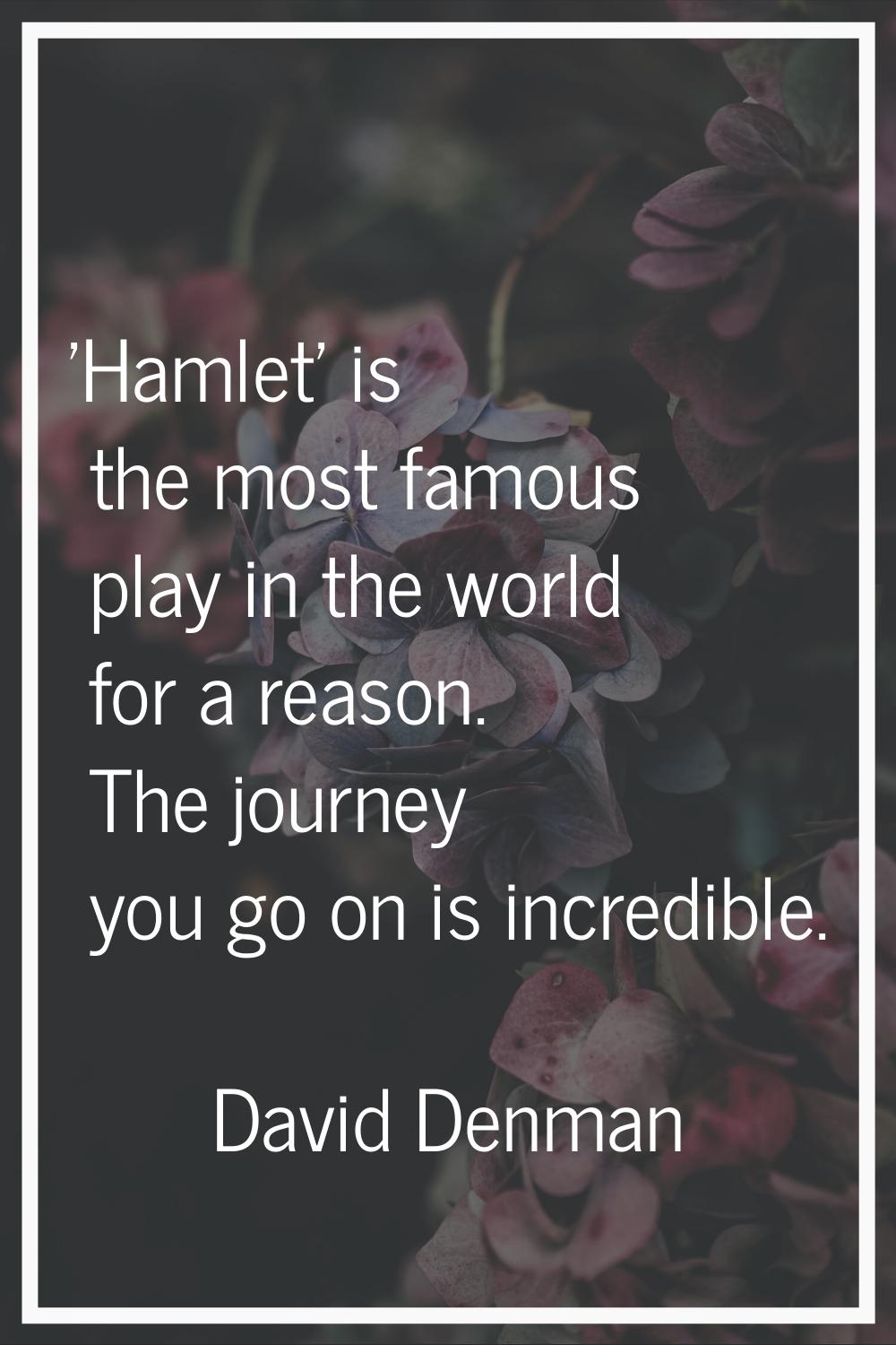 'Hamlet' is the most famous play in the world for a reason. The journey you go on is incredible.