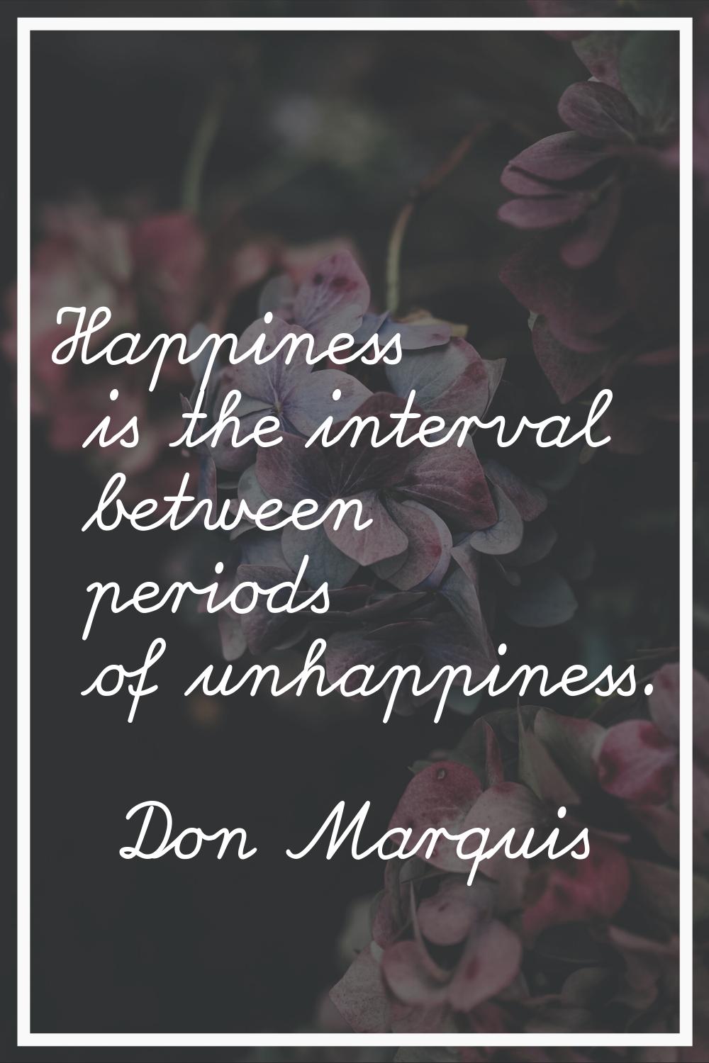 Happiness is the interval between periods of unhappiness.