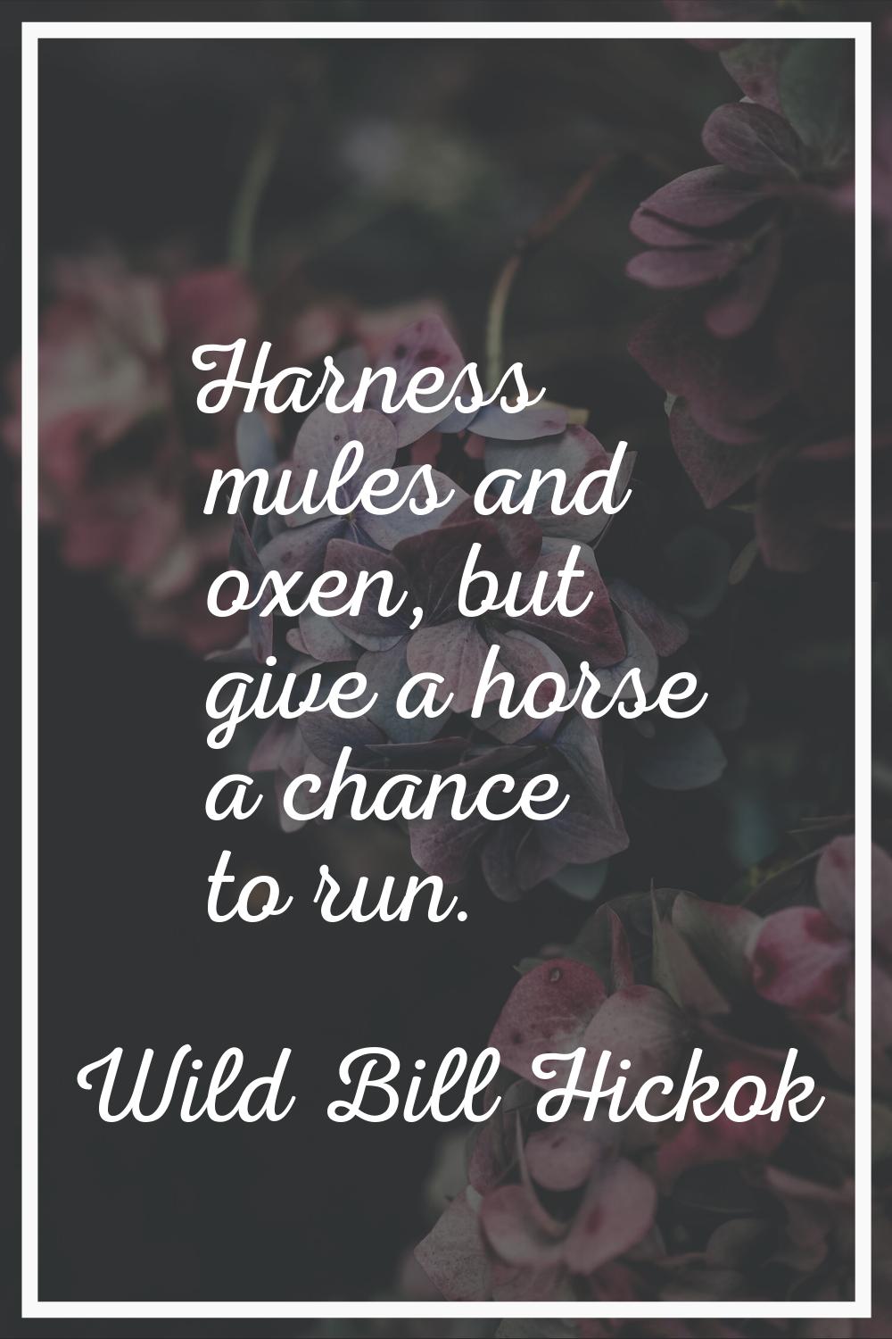 Harness mules and oxen, but give a horse a chance to run.