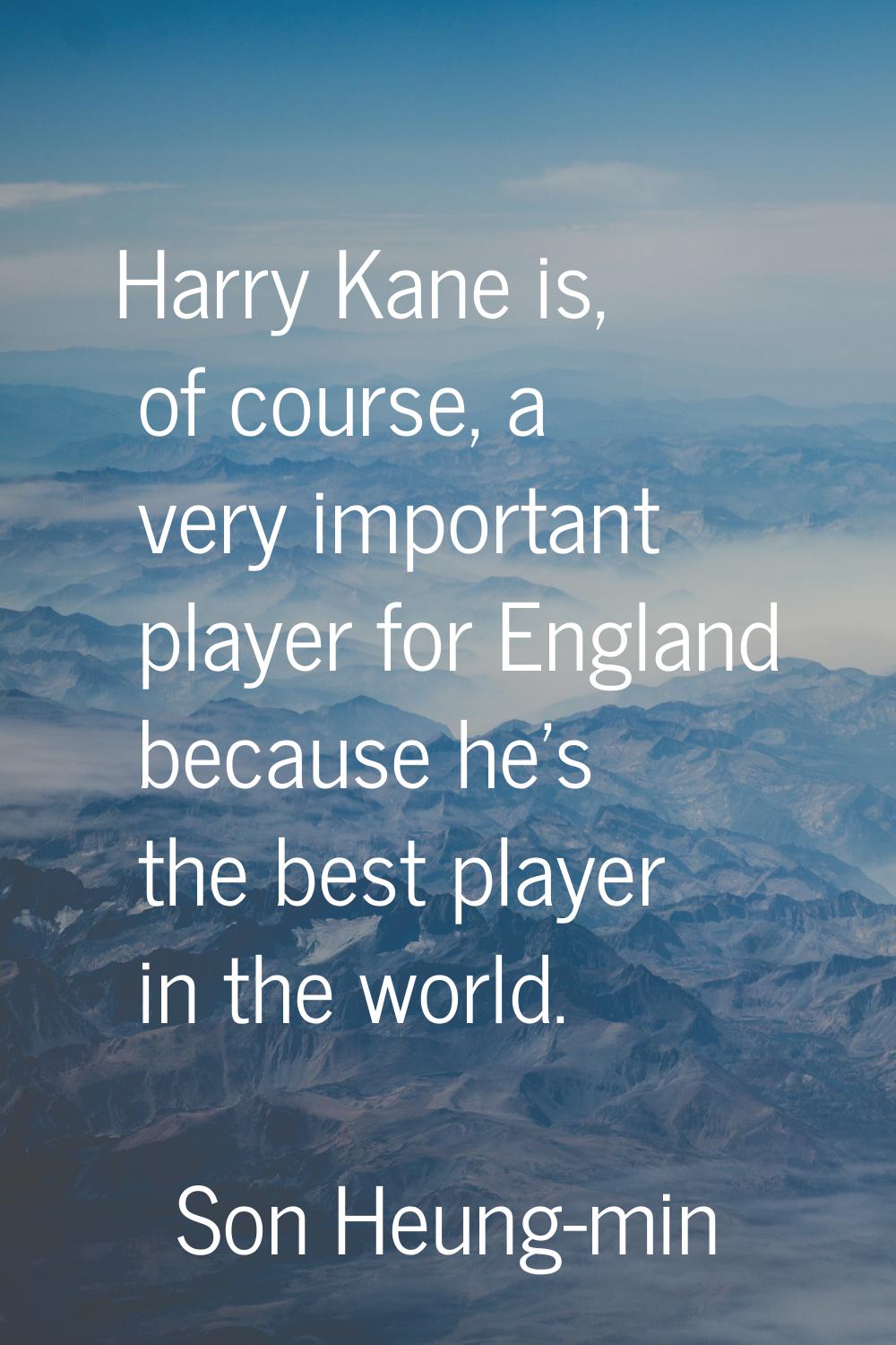 Harry Kane is, of course, a very important player for England because he's the best player in the w