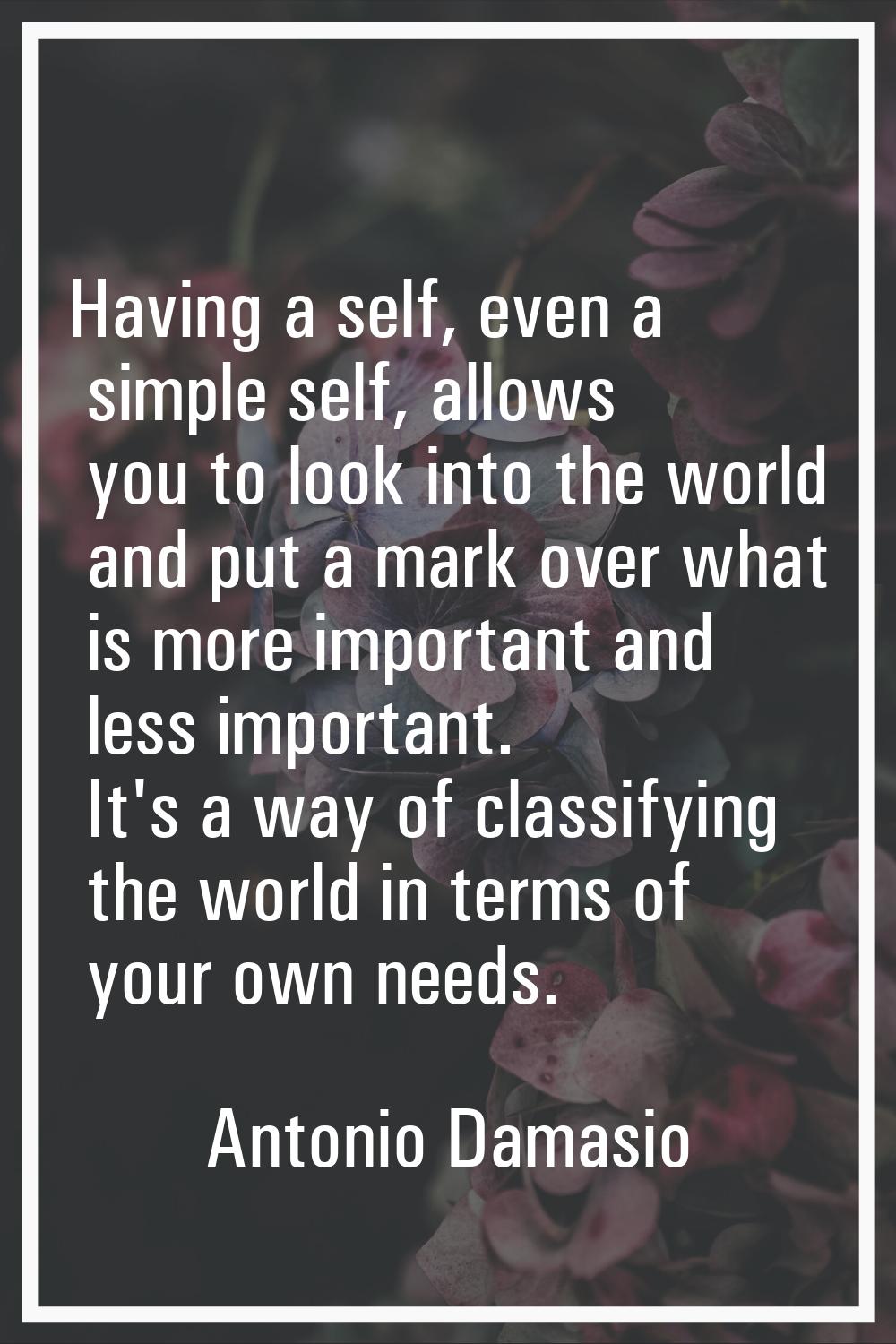 Having a self, even a simple self, allows you to look into the world and put a mark over what is mo