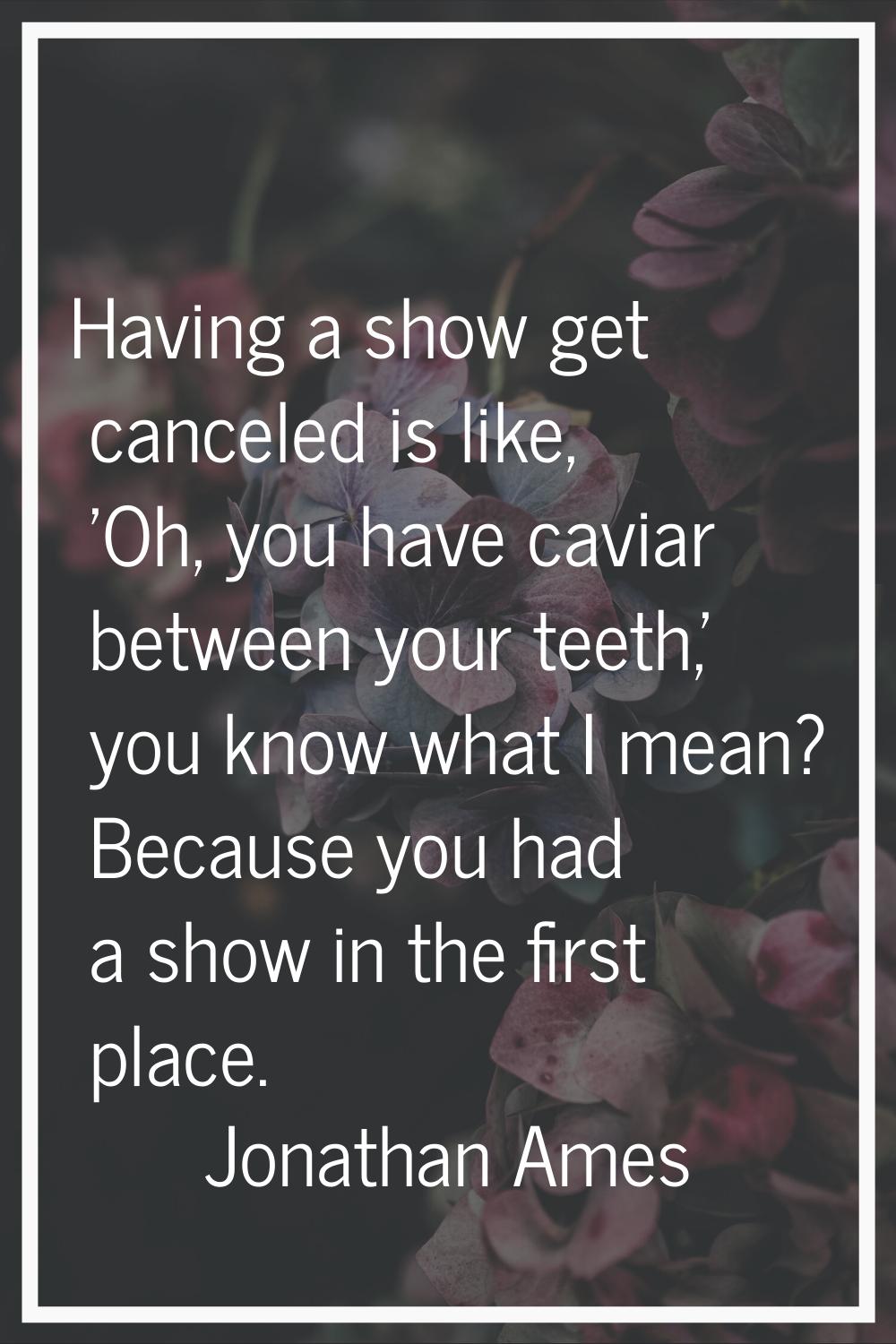 Having a show get canceled is like, 'Oh, you have caviar between your teeth,' you know what I mean?