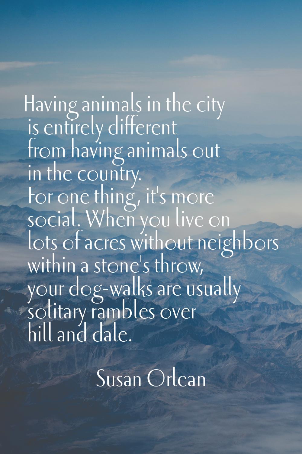 Having animals in the city is entirely different from having animals out in the country. For one th