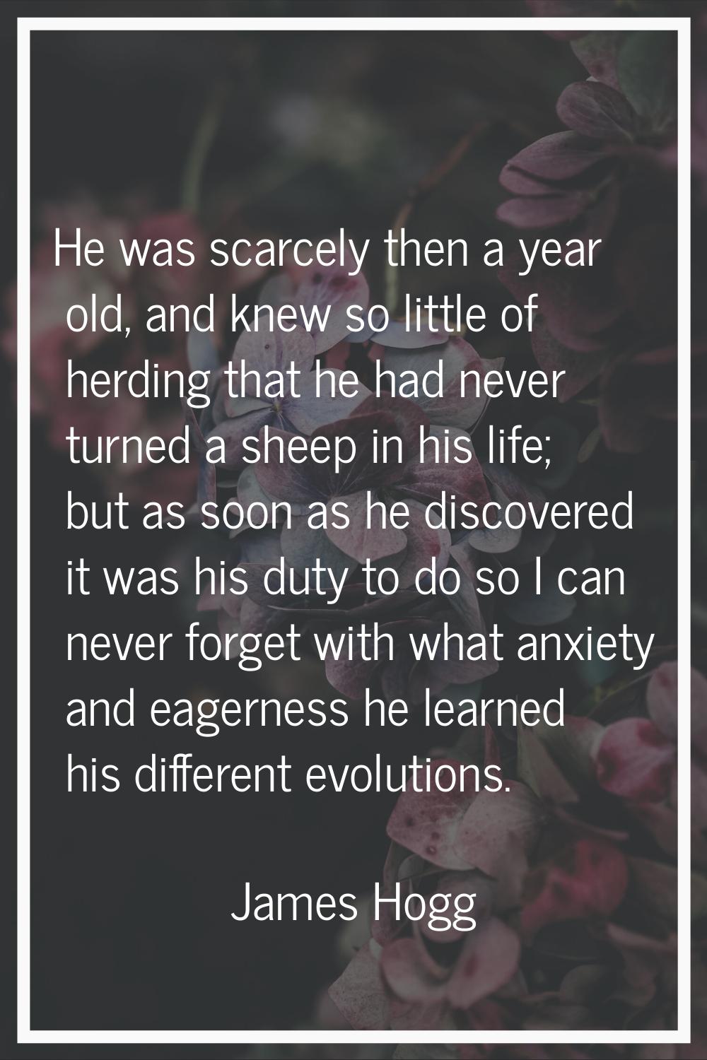 He was scarcely then a year old, and knew so little of herding that he had never turned a sheep in 
