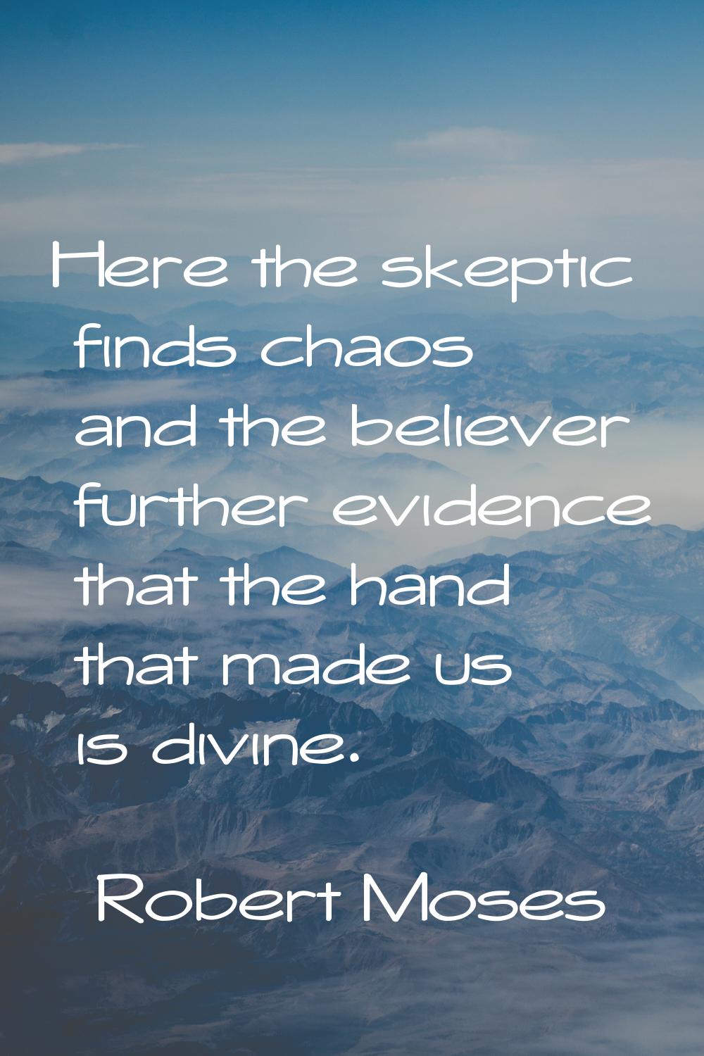 Here the skeptic finds chaos and the believer further evidence that the hand that made us is divine
