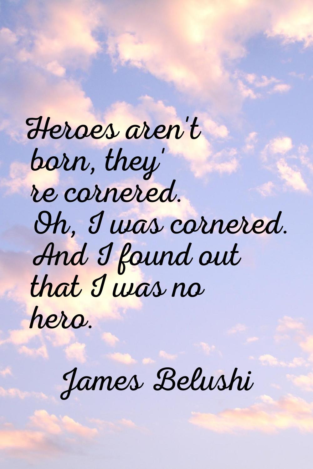 Heroes aren't born, they' re cornered. Oh, I was cornered. And I found out that I was no hero.