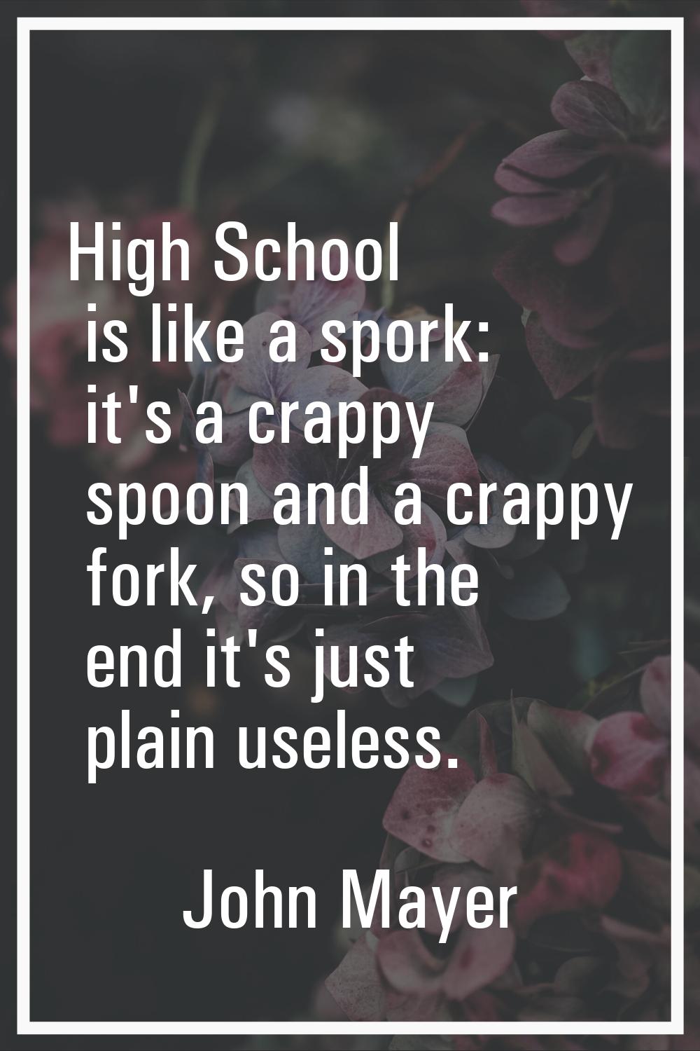 High School is like a spork: it's a crappy spoon and a crappy fork, so in the end it's just plain u