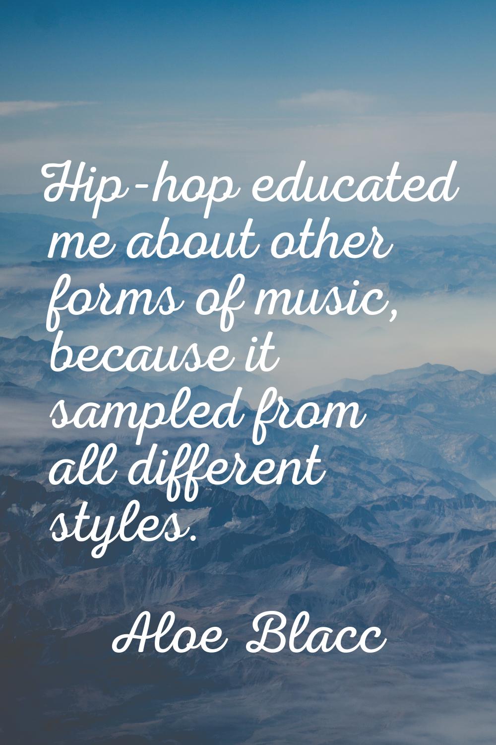 Hip-hop educated me about other forms of music, because it sampled from all different styles.
