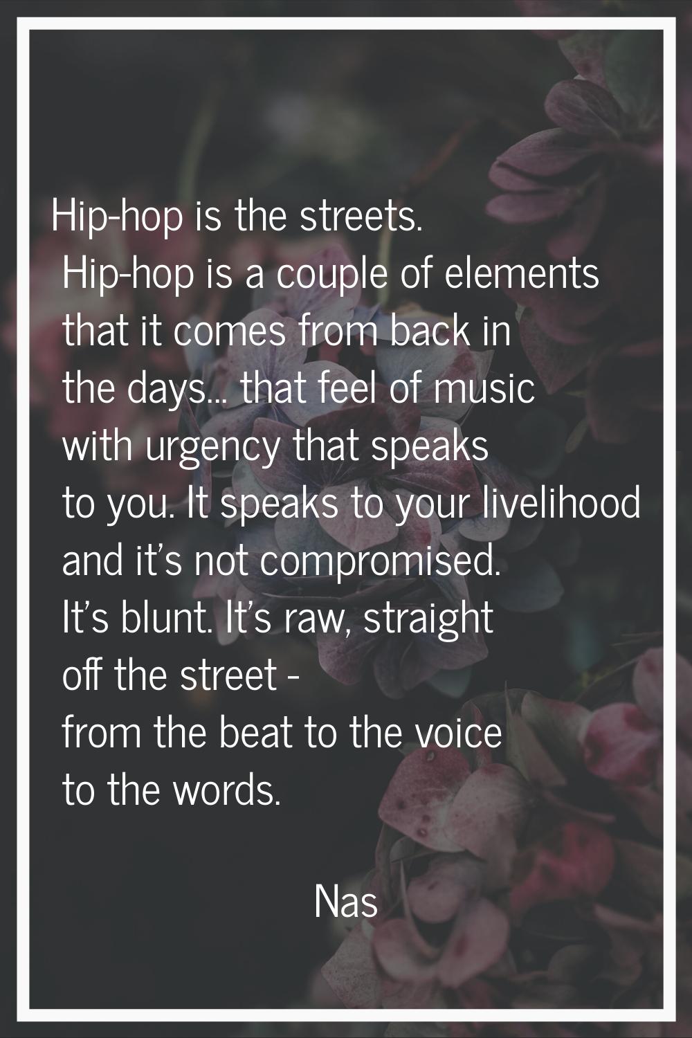 Hip-hop is the streets. Hip-hop is a couple of elements that it comes from back in the days... that